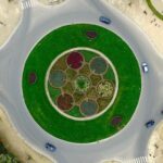 Riprese con drone per storytelling corporate: quando il video aziendale supera il modello istituzionale Riprese con drone per storytelling corporate: quando il video aziendale supera il modello istituzionale
